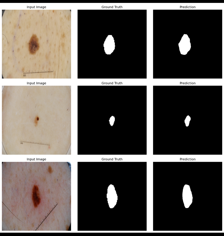 Segmentation Results Grid 1